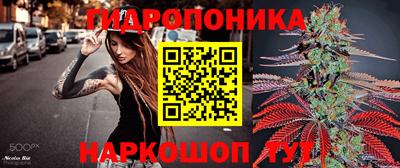 хмурый Малоярославец