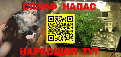 МДПВ Моздок