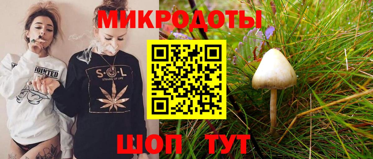 Дальнереченск  Галлюциногенные грибы GOLDEN TEACHER  Вход с VPN 